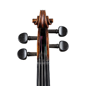 Stentor 1864 The Verona 4/4 Violin Outfit De Luxe Case